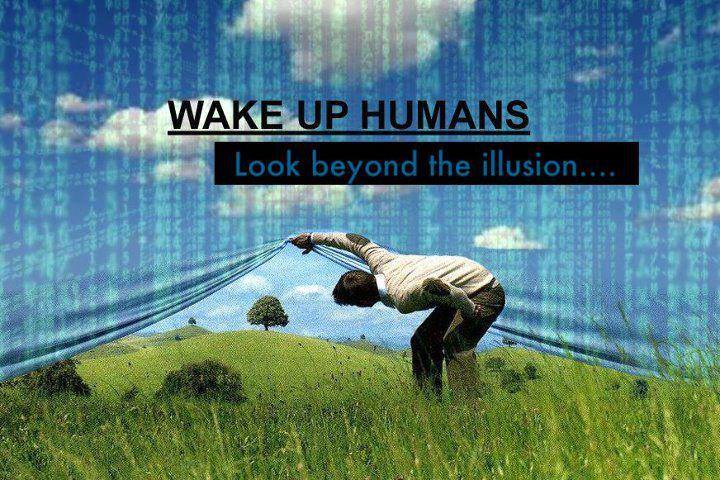 Vin Taylor tweet media