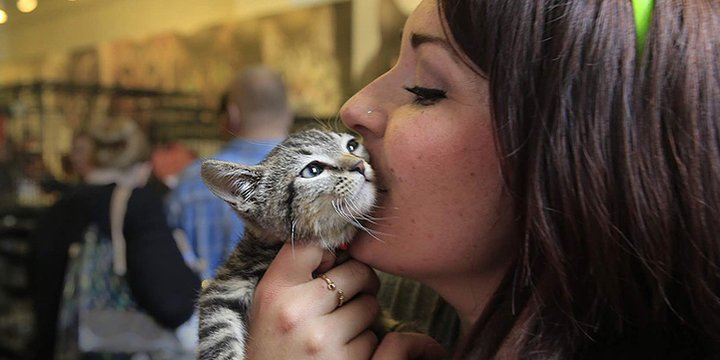CatConLA is a utopia for all feline fanatics peoplem.ag/MTlYe2N via <a href="/PEOPLEPets/">People Pets</a>