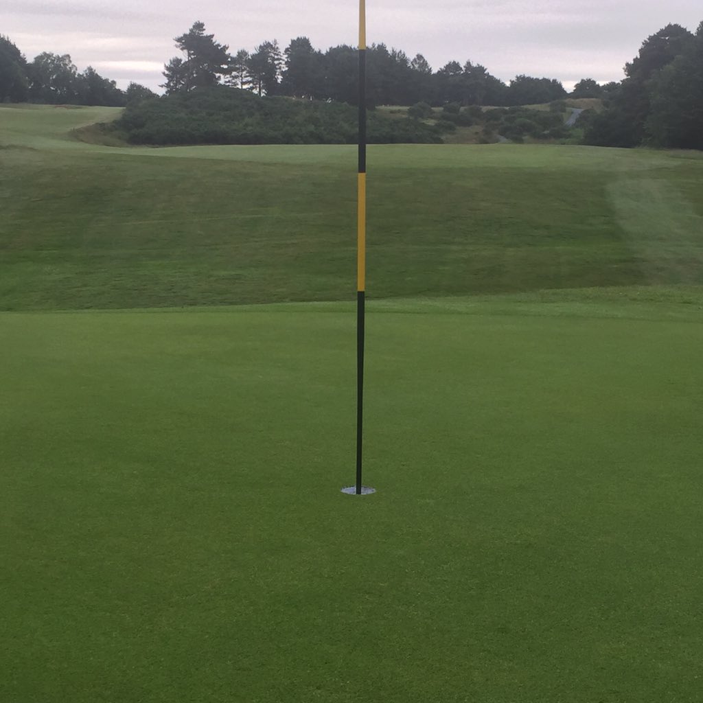 Delamere_Greens's tweet photo. Ready for the Victory Cup round 1, double cut, iron, bunkers and holes completed. #heathland #golf #Delamere https://t.co/cDzISyYiJk