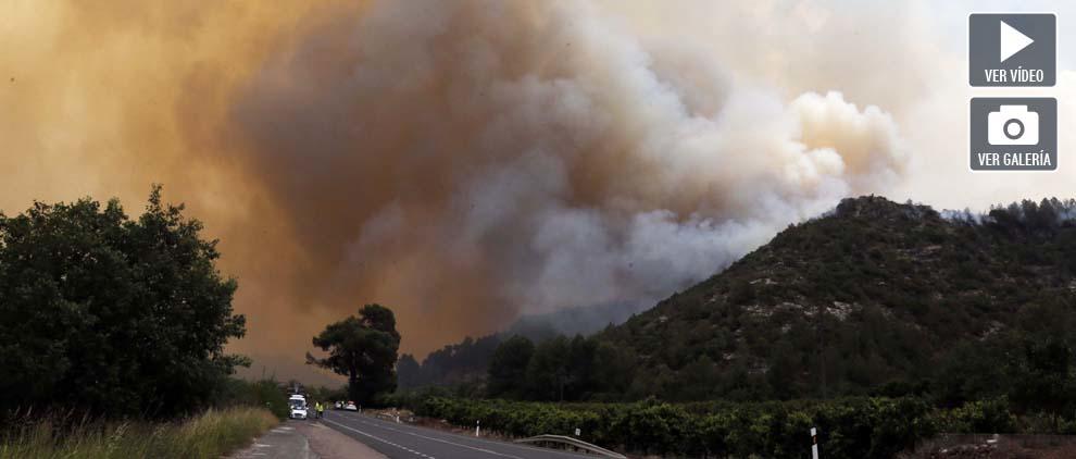 levante_emv's tweet photo. La oleada de incendios deja más de 3.000 h quemadas y 1.000 evacuados https://t.co/2cGWiK22Cb por @pepesiega https://t.co/9XQTo6L2gX