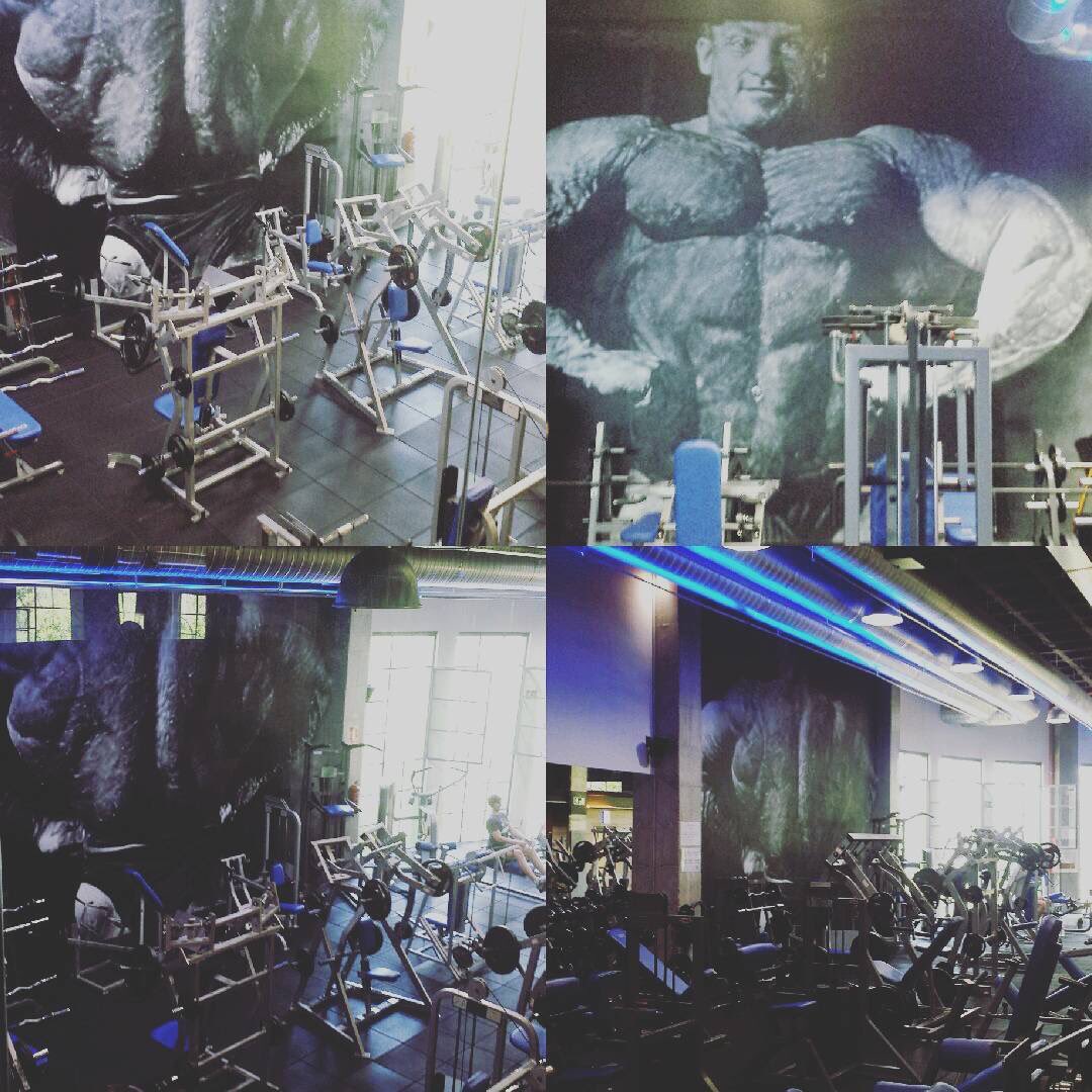 USUrbanSteelGym's tweet photo. #Repost @davidephysique https://t.co/V8tK3TdOvD #dygym #dygymmarbella #dorianyates #galyates #marbella https://t.co/oNVjuxjfo4