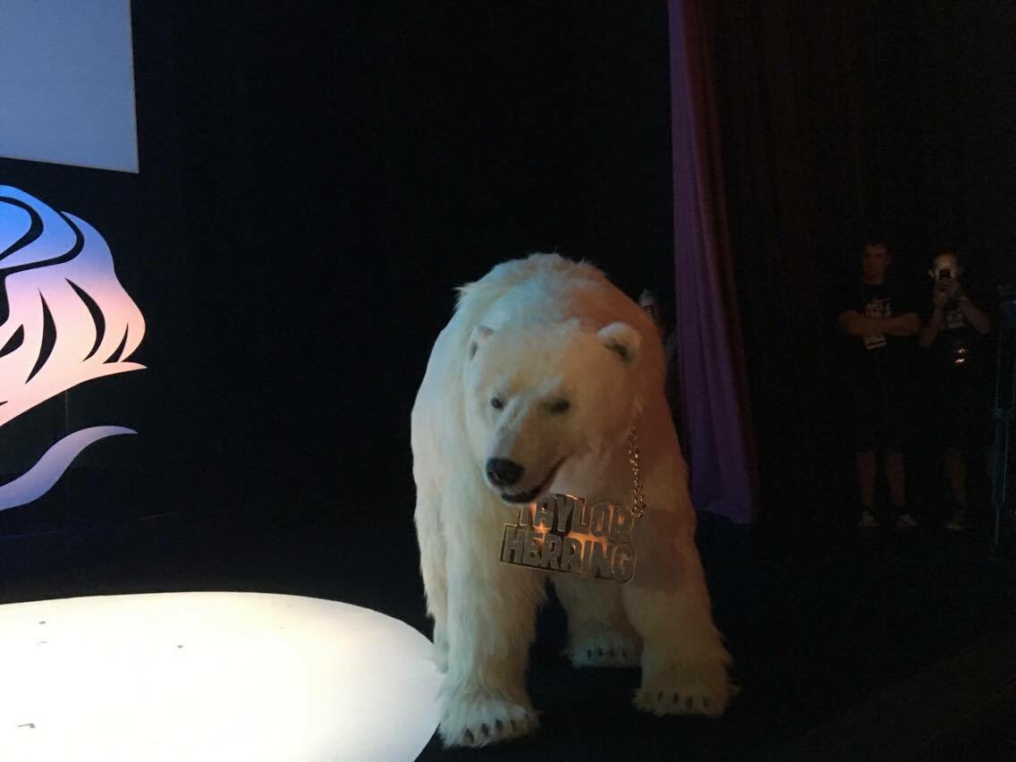 K2 Internet tweet media