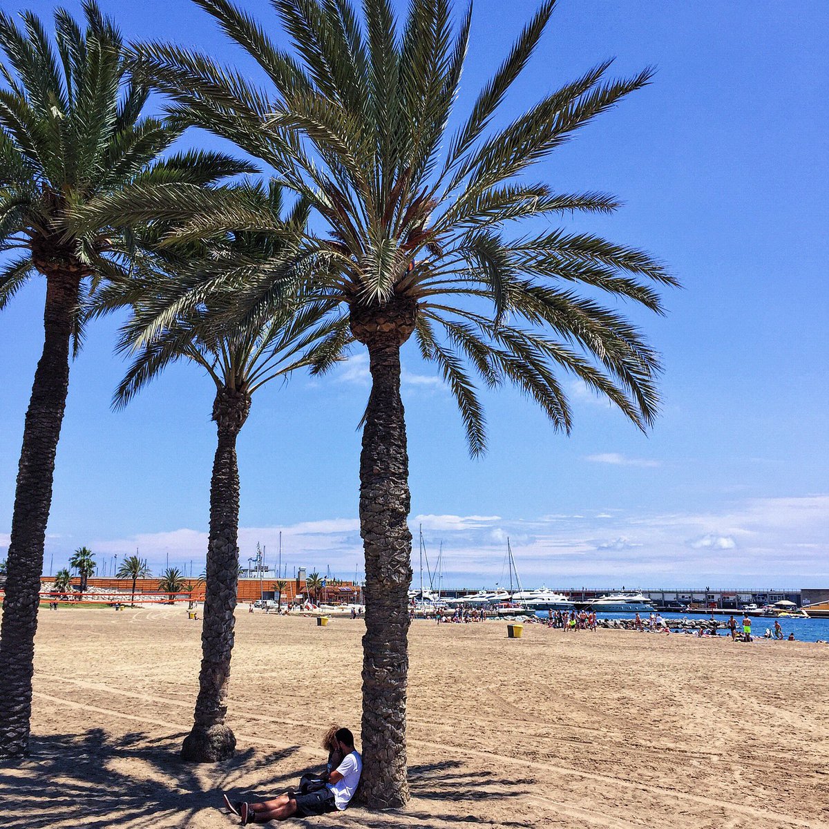 AliceVMeerbeeck's tweet photo. Finally weekend - cava time! #Barcelona #travel #weekend #citytrip #cavatime 🌴⛵️☀️ https://t.co/zapFZKNu1G