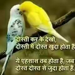 Hai frieds