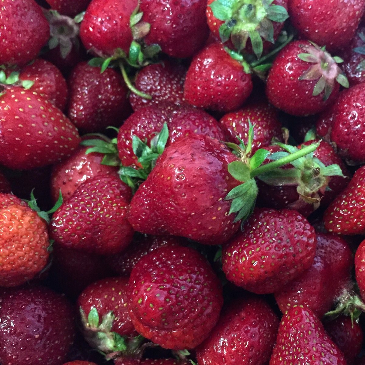 9 Bean Rows tweet media