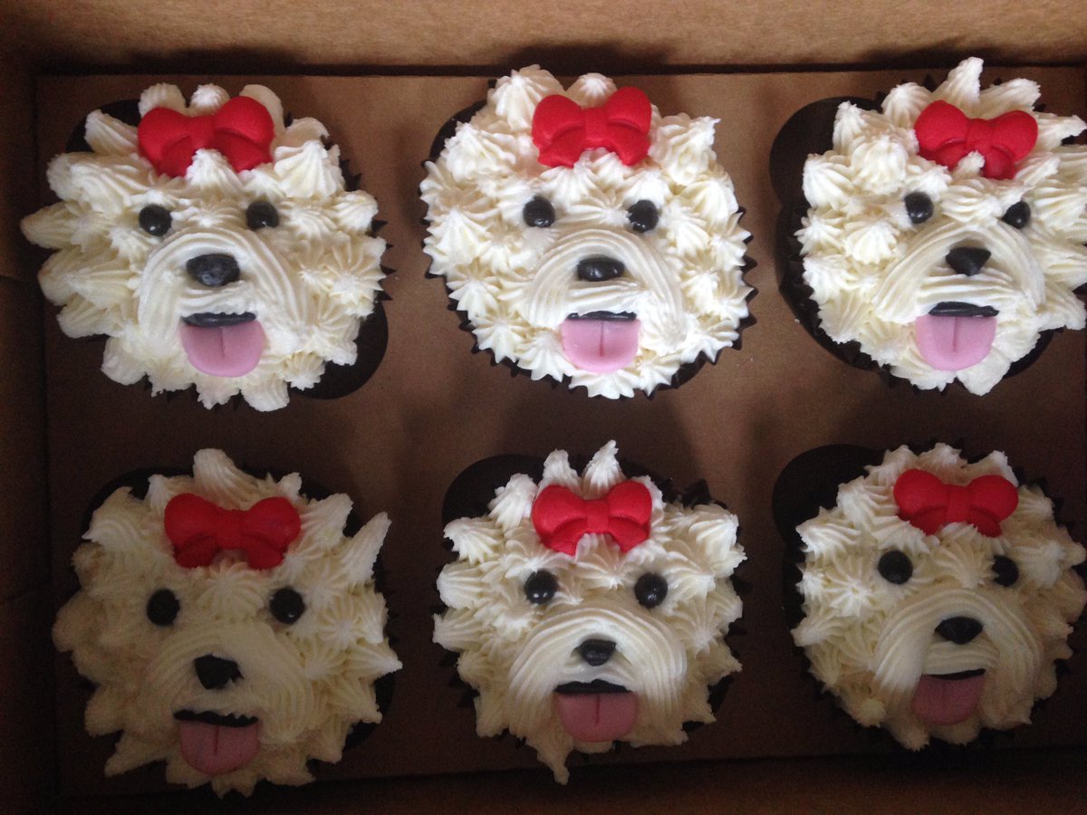 cottagecakery1's tweet photo. What's the plural for Bijon Friśe? #woof #cupcake https://t.co/WB6NsXkmXk