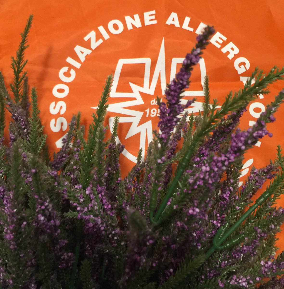 federalberghi's tweet photo. L'estate ☀️ sta arrivando❗️

55 mln di turisti = 1 mln di posti di lavoro

https://t.co/llC7OW38Xm https://t.co/dJqPXi4L5M