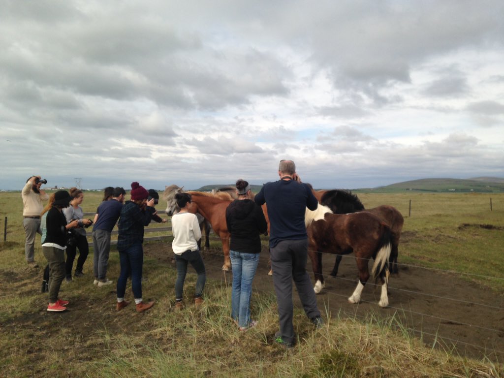 MOfeldt's tweet photo. Found some friendly horses on way back from the campsite. #GFPproject #canonbringit! #iceland #horses #outdoors https://t.co/unxP3QvtyX