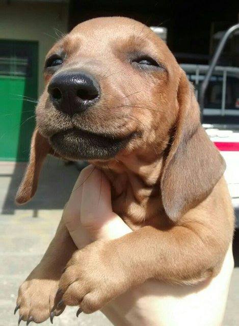 zopodocom's tweet photo. Smile it's the weekend! https://t.co/VLgxLJsIT8