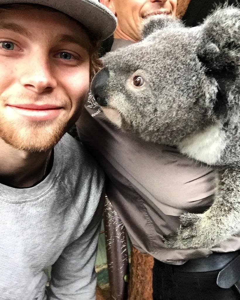 Luke5SOS's tweet photo. 🐨 @featherdalewildlifepark https://t.co/g11Q7CyVSm