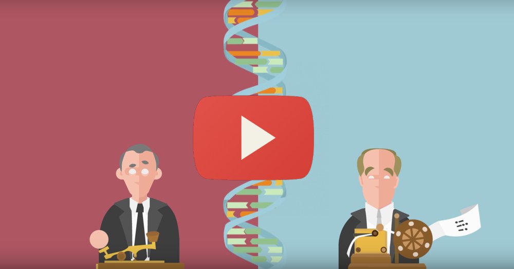 materia_ciencia's tweet photo. La historia de la doble hélice de ADN, una revolución científica que empezó en un pub https://t.co/0AhJwvMC1g https://t.co/crniOjcf5M