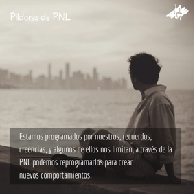 IPHumano's tweet photo. Estamos programados y esa programación nos limita. Con #PNL nos reprogramamos #AprenderPNL https://t.co/NMGLRZwRrH https://t.co/tFAF7EsSGf