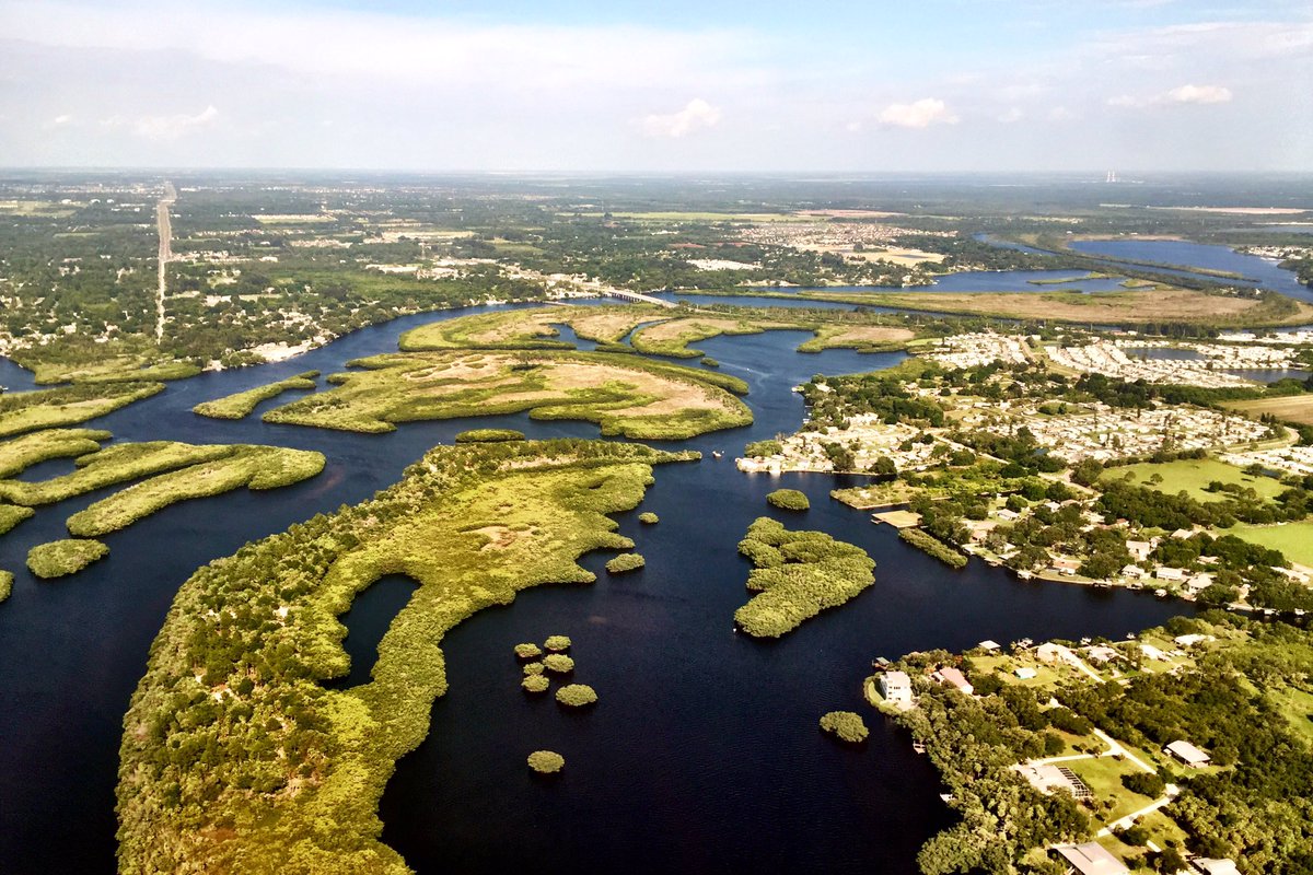 8_plamison's tweet photo. .@WFLA   Did you know we have beauty like this near Tampa? Inland on the Alafia River.
#tampabay https://t.co/oizdPc5uzA