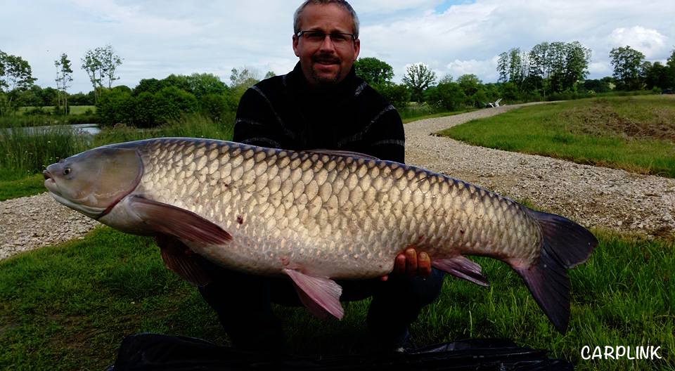 Carplink1's tweet photo. Some pictures of the James's session last week.19+ Mirror and 17+ Grass carp among the 35 runs. Congratulation Seb ! https://t.co/SgaUEILO2g