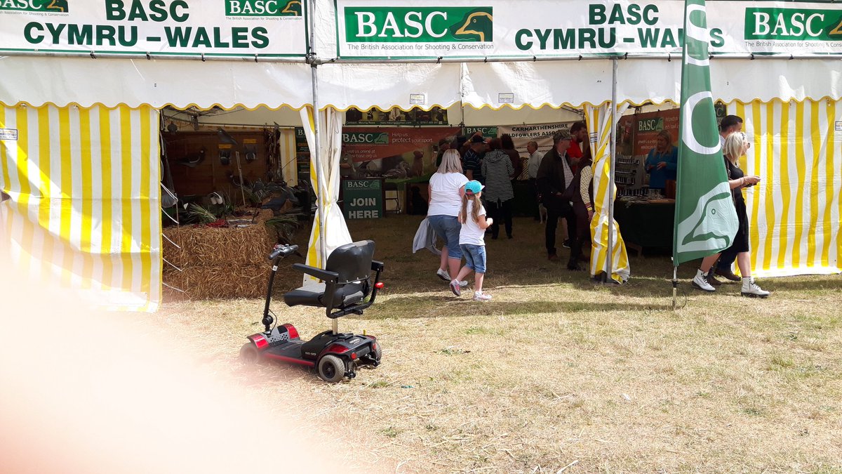 Meurig Rees tweet media