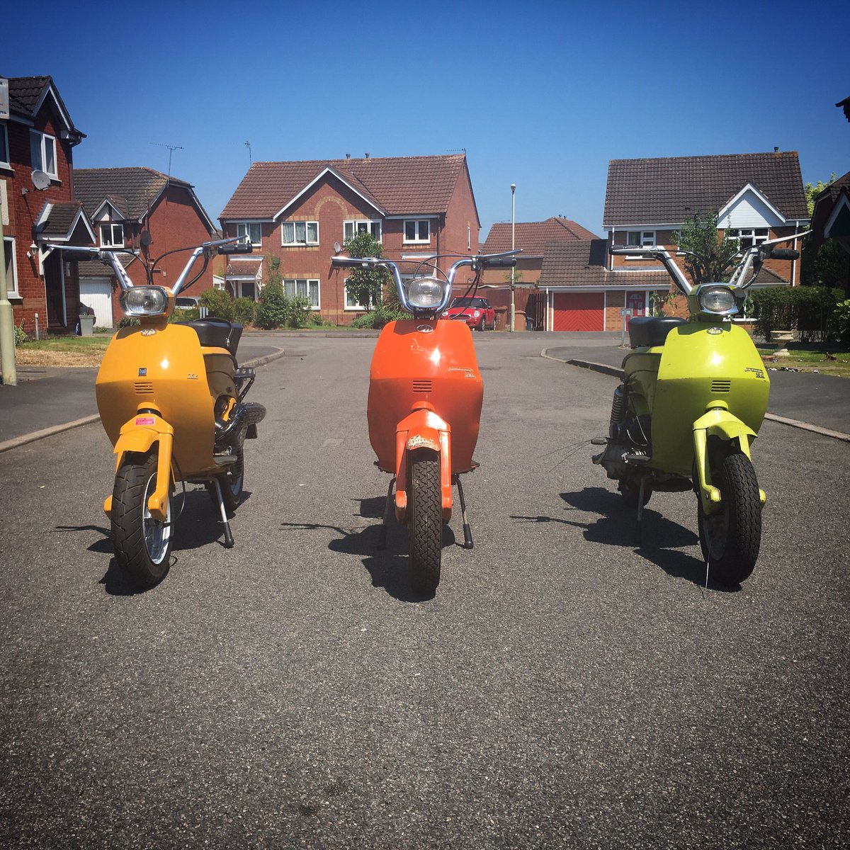 #lunaownersclub it's an obsession.