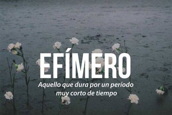 thtstudios's tweet photo. Cultura Inquieta - 40 de las más bellas palabras del...: https://t.co/001Yci1HNz via @StumbleUpon https://t.co/DXF5t6o6Xk