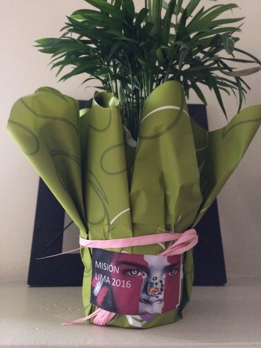 Ver imagen en Twitter Ver imagen en Twitter