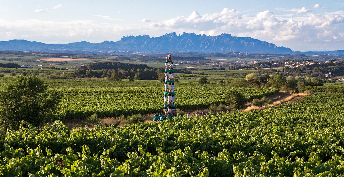 📷 Penedès Verd 💚 
#castellers #catalunya