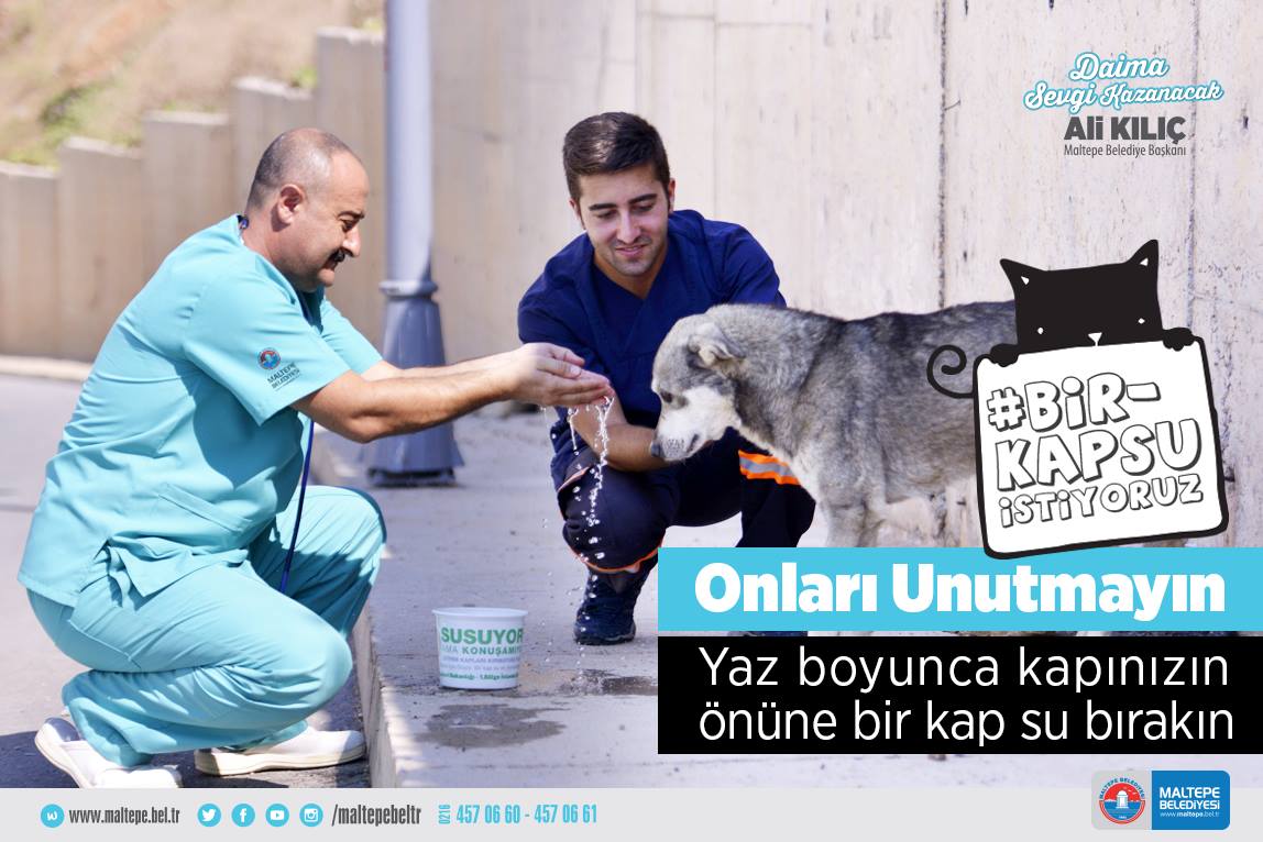 BskAliKilic's tweet photo. #1şeysöyliyicegim sıcak havalarda sokak hayvanlarını unutmayan, su verenleriniz çok olsun #BirKapSu #sokakhayvanları https://t.co/N3yHm8cHRU