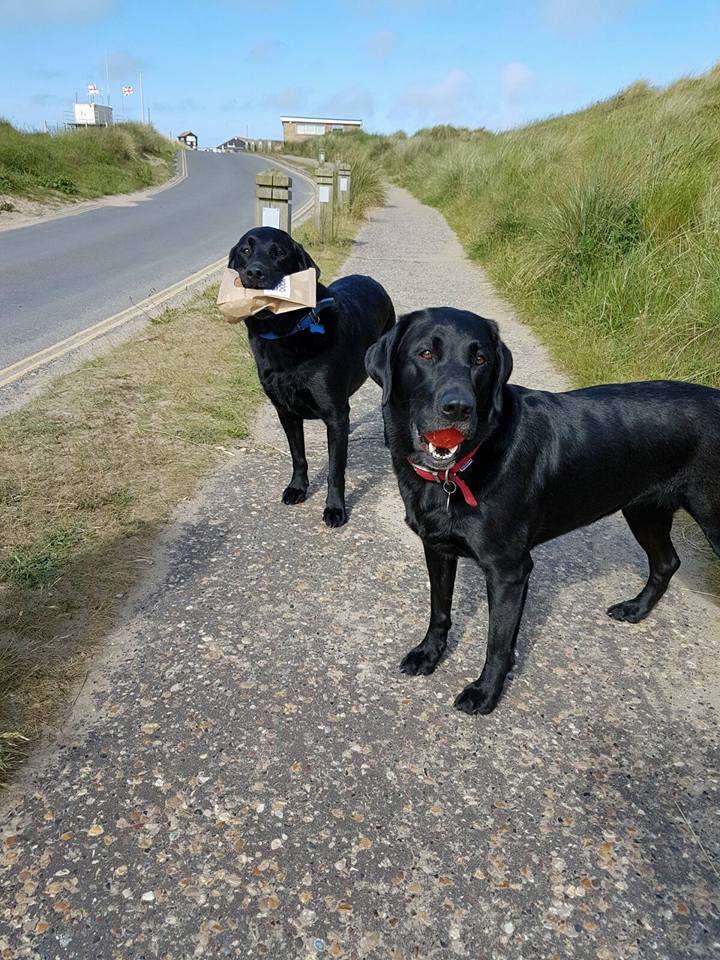 CottageProspect's tweet photo. "Peppa Pig icecreams please!" Gunner and Alice's last visit to the "so doggy friendly" Dunes Cafe. #WintertonOnSea https://t.co/J7RE89o4X4