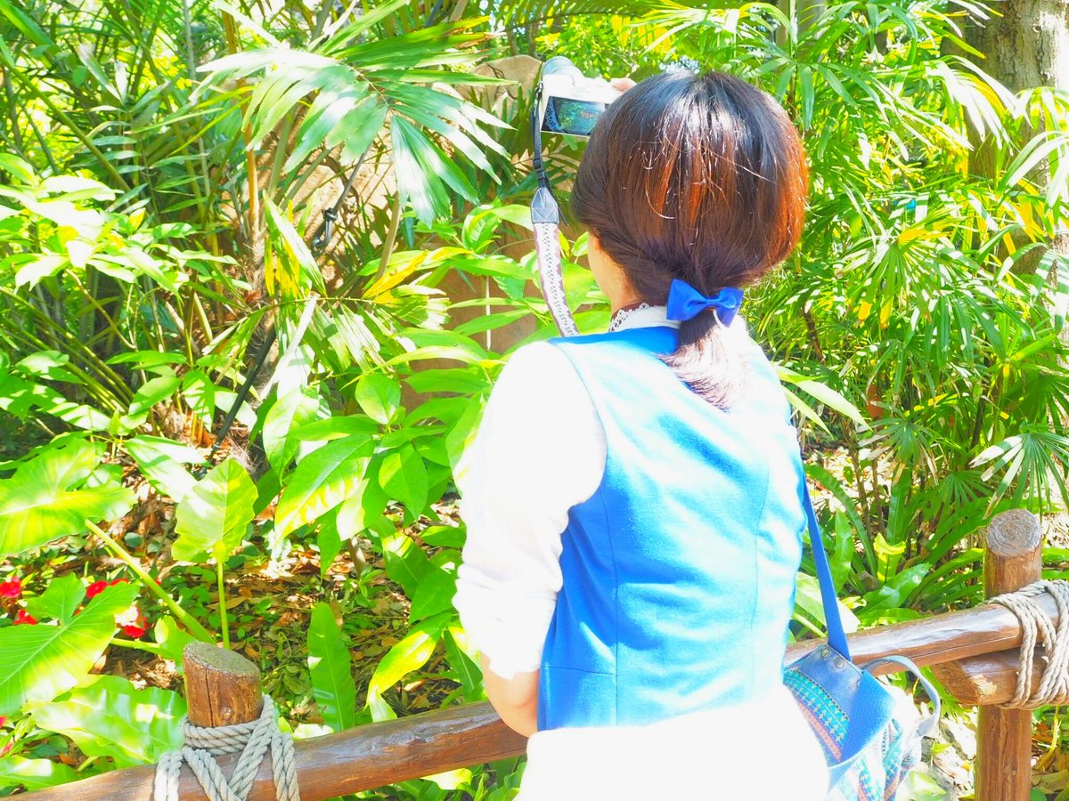 文月 宵 よる A Twitter 今回のディズニーバウンドは町ベルちゃん トレイルのキャストさんすぐ気づいてくれてうれしかったーっ リボンは前日の23時くらいに あ リボンないっ ﾟdﾟ って気づいて慌てて作った そして髪色がやばいことに今気づいた