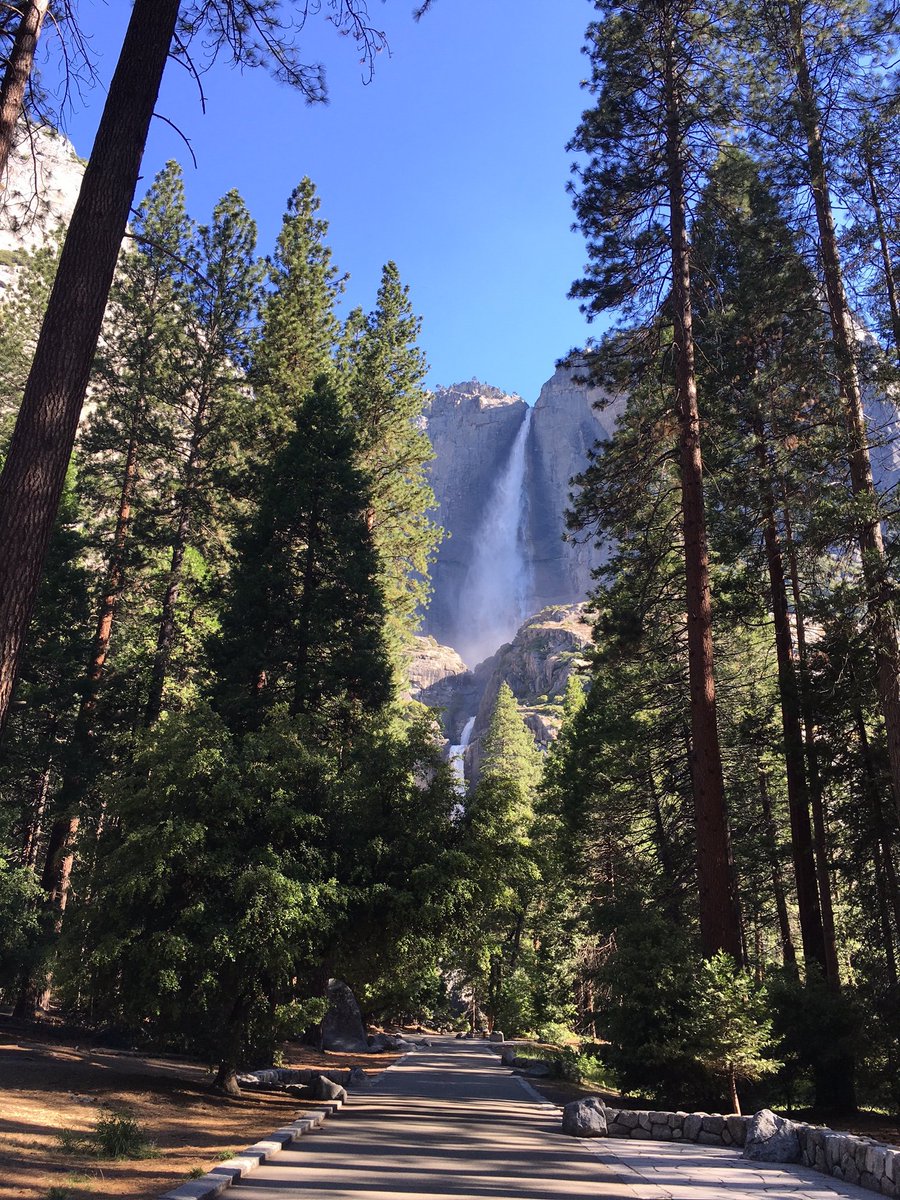 White House Archived (@obamawhitehouse) on Twitter photo Watch live at 2pm ET from Yosemite: <a href="/POTUS/">President Donald J. Trump</a> celebrates 100 years of <a href="/NatlParkService/">National Park Service</a> → go.wh.gov/5gck3Y Watch live at 2pm ET from Yosemite: <a href="/POTUS/">President Donald J. Trump</a> celebrates 100 years of <a href="/NatlParkService/">National Park Service</a> → go.wh.gov/5gck3Y