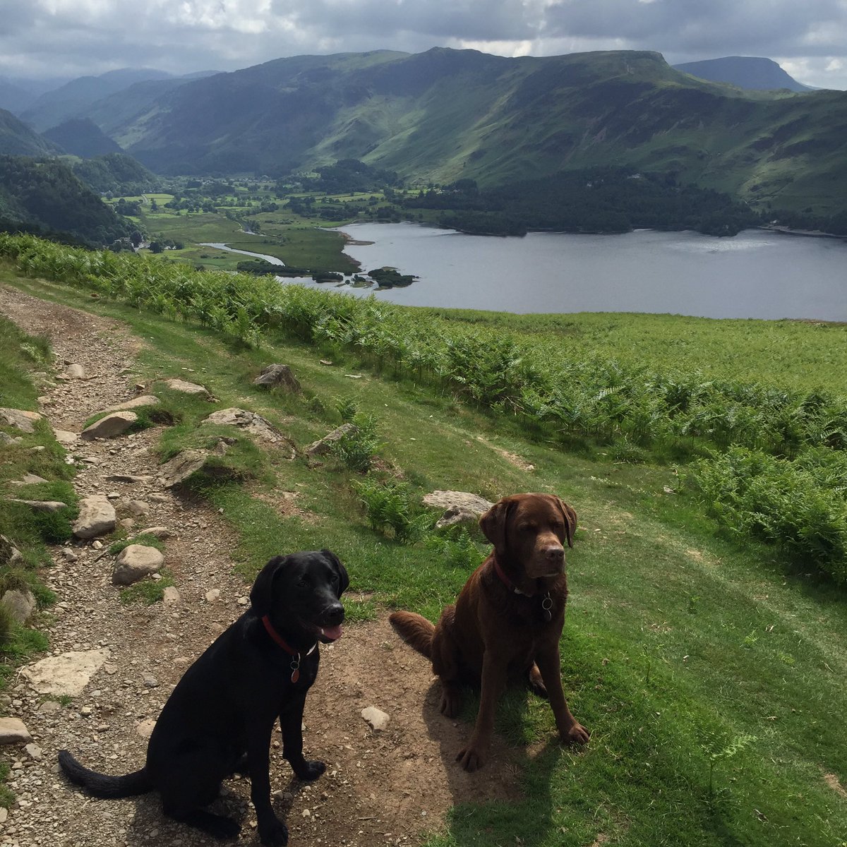 jolaker's tweet photo. Jake's first walk over Walla Crag today. Even had some sunshine! https://t.co/InJ1ZdYS8b