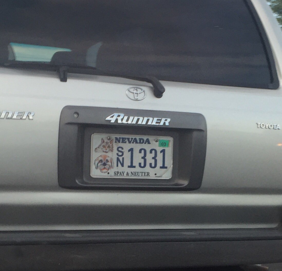 <a href="/CATSIncHenry/">Henry Colucci</a> <a href="/giarosemassa/">Gia Rose Massa</a> <a href="/MManendo/">🏆 VGK Mark Manendo</a>