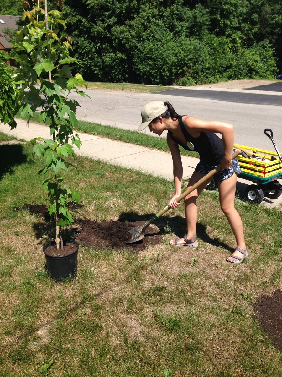 sngai's tweet photo. Canvassing and planting trees for @rfldn #treeblitz! A step closer to a #milliontrees in #ldnont! https://t.co/9ysAuFze0L