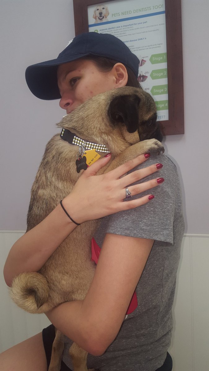 PugGriffin's tweet photo. Vet day. I'm scared! Pack-sister don't let them take me!! 😣😣
#dogsoftwitter#pug #vets are scary #pugsnotdrugs https://t.co/RVnWOu0l6b