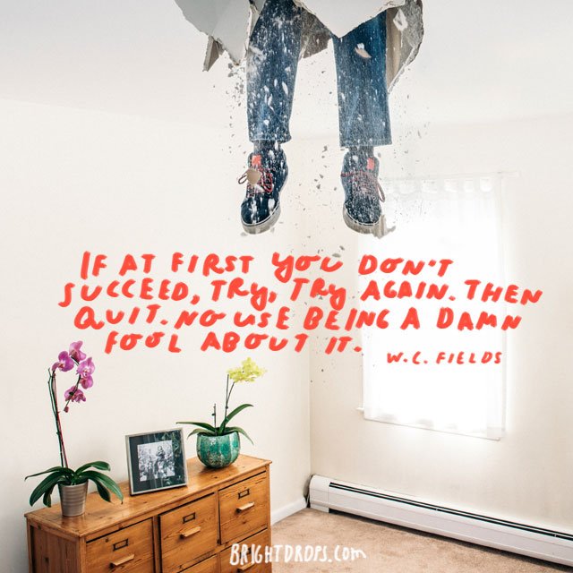 BrightDrops (Quotes) tweet media