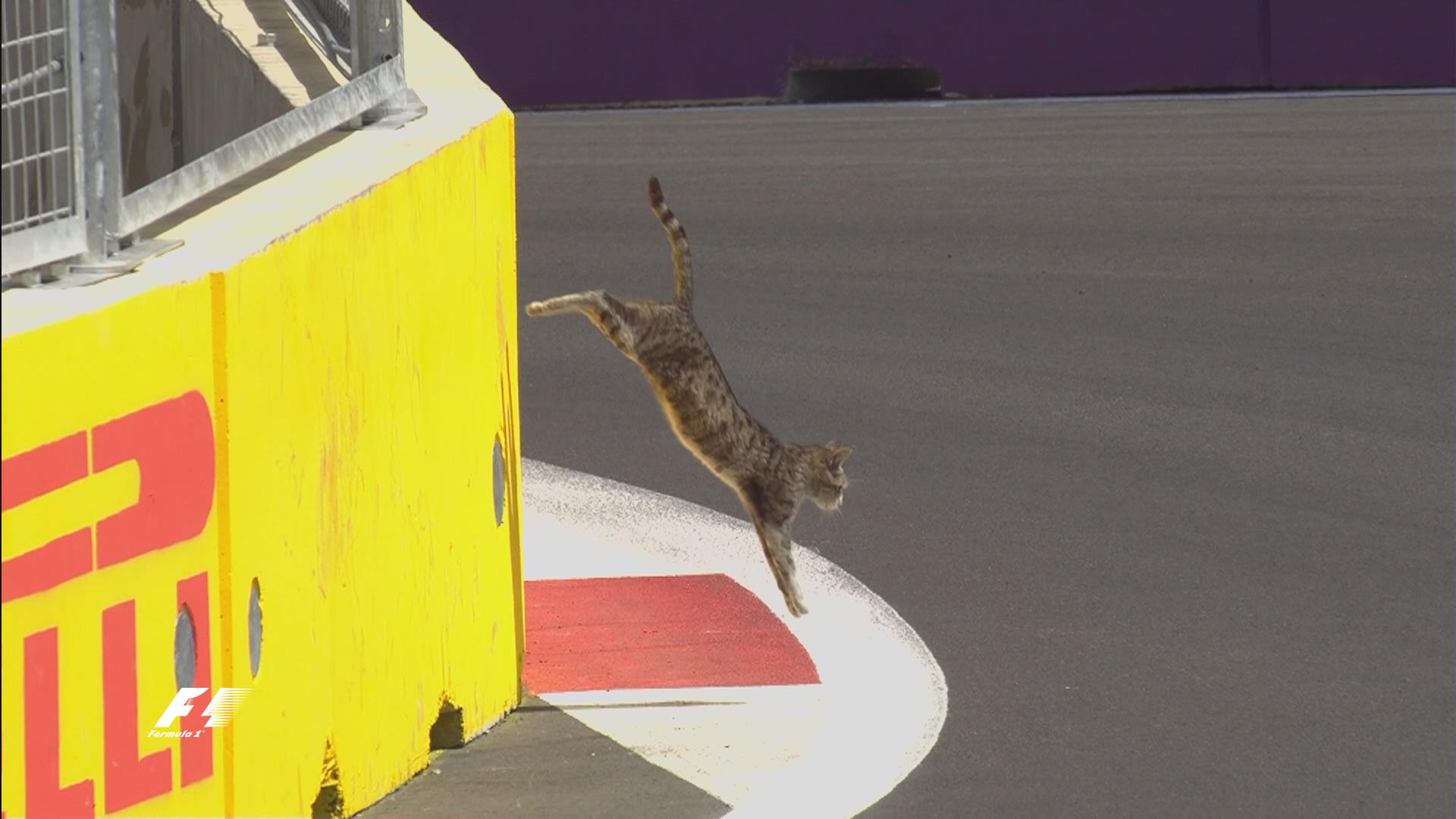 ClPB1lfWkAAIEVX.jpg:large