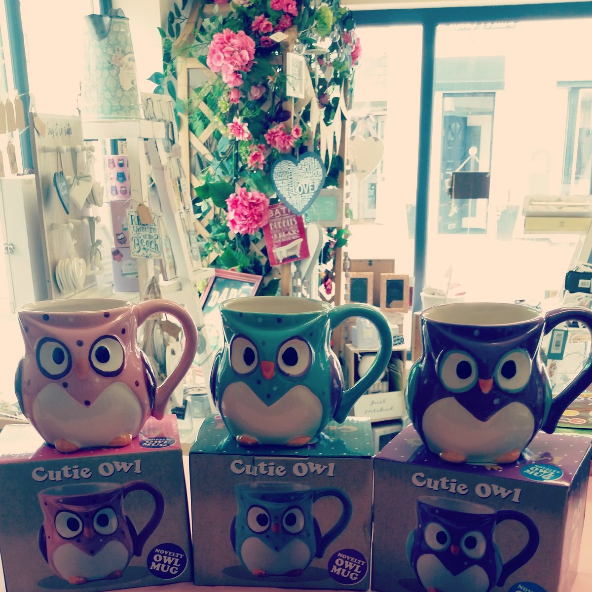 BellaRoseUK's tweet photo. With these Offbeat Owl Mugs you are sure to have a hoot 💐 https://t.co/o8IB3CHr5V