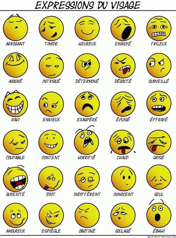 ffrenchay's tweet photo. A great #French visual with lots of basic and higher level vocab. #mfltwitterati https://t.co/iodZhr8X1Q