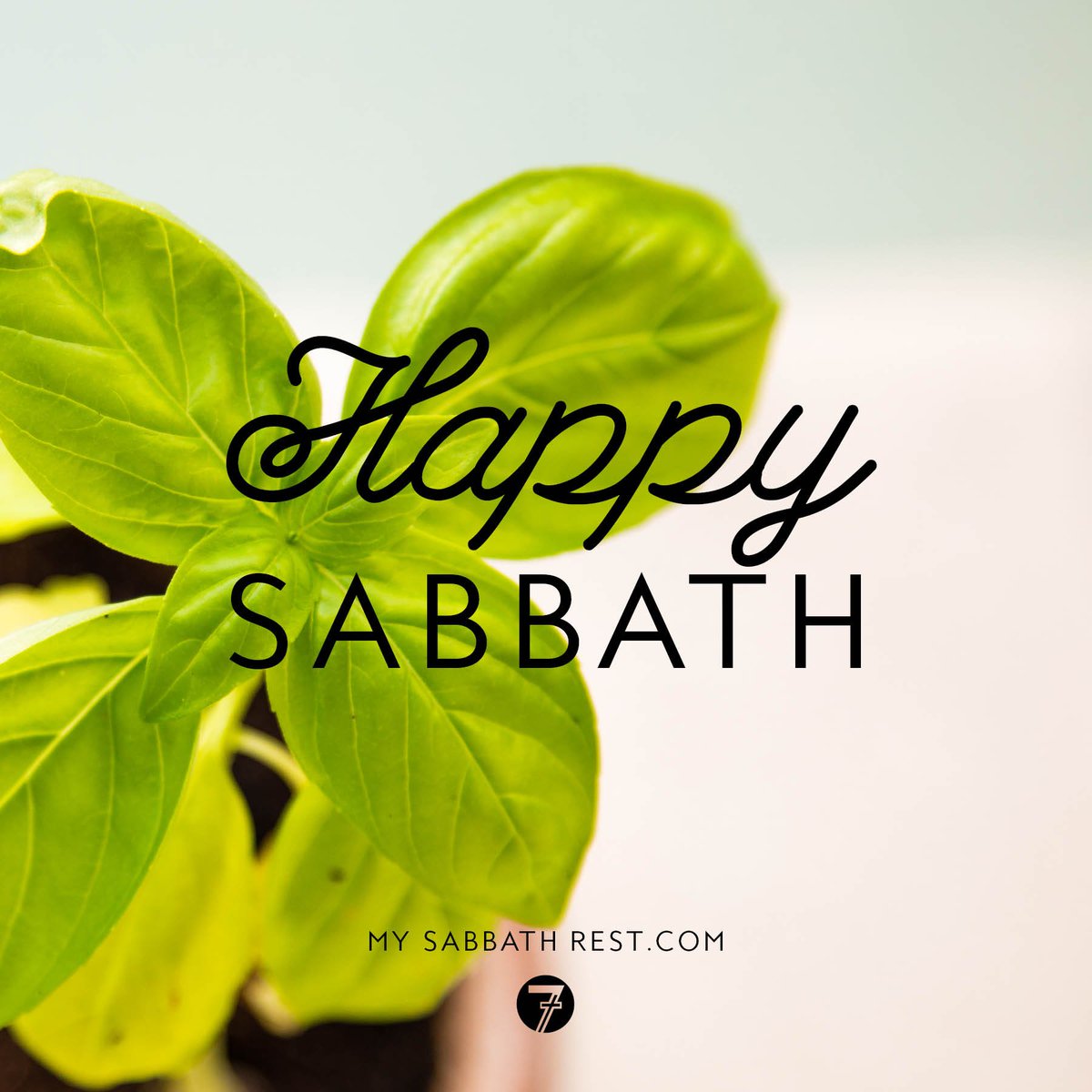 GraceCmtySDA's tweet photo. Rest your mind… Calm your heart. #HappySabbath! https://t.co/RssL5MlHJv
