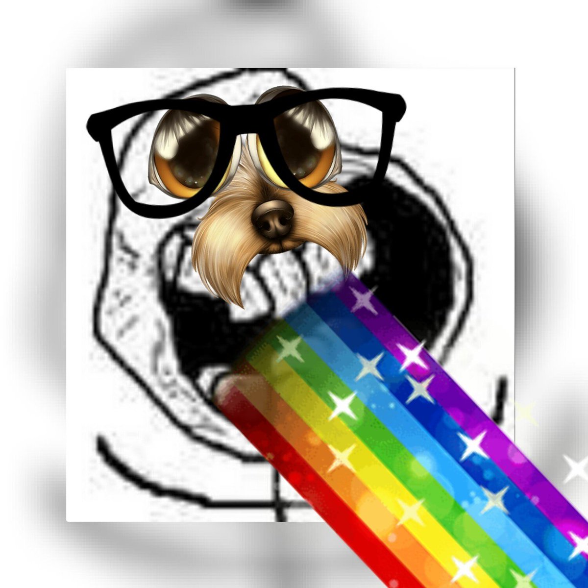 Hauke Feldmann tweet media