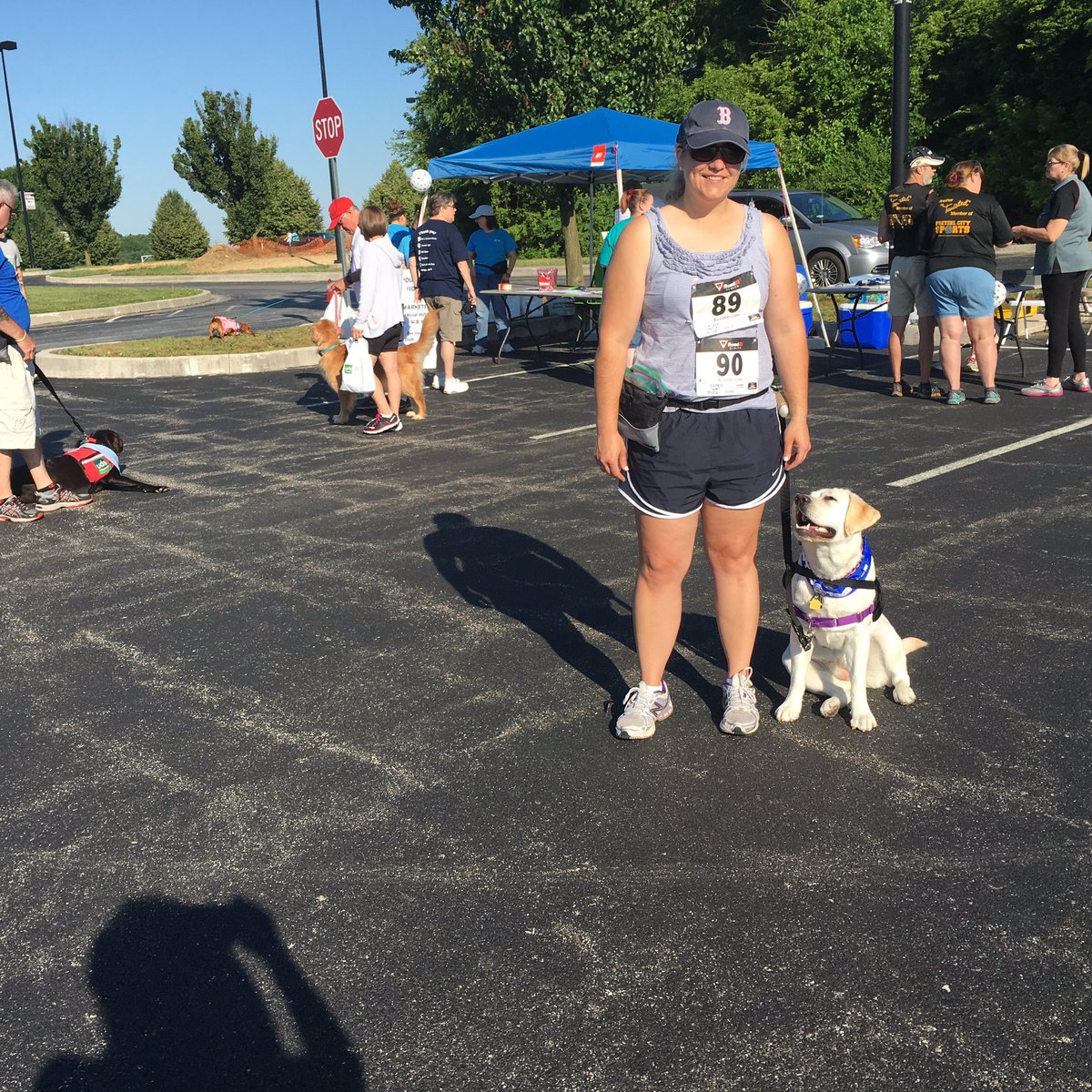 WESpolarbears's tweet photo. Aspen's ready for #udservicedogs Cause for Paws 5K #gotchaday #amazing1styear https://t.co/ir3uOkqw1O