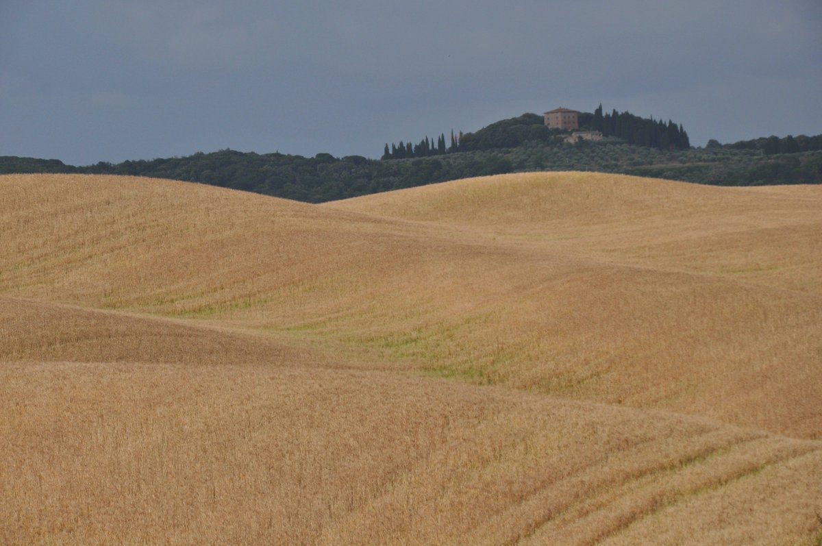 info_berardenga's tweet photo. Il #paesaggio estivo delle Balze di Caspreno #castelnuovoberardenga #aroundsiena #tuscany https://t.co/1gjrwq7CPi