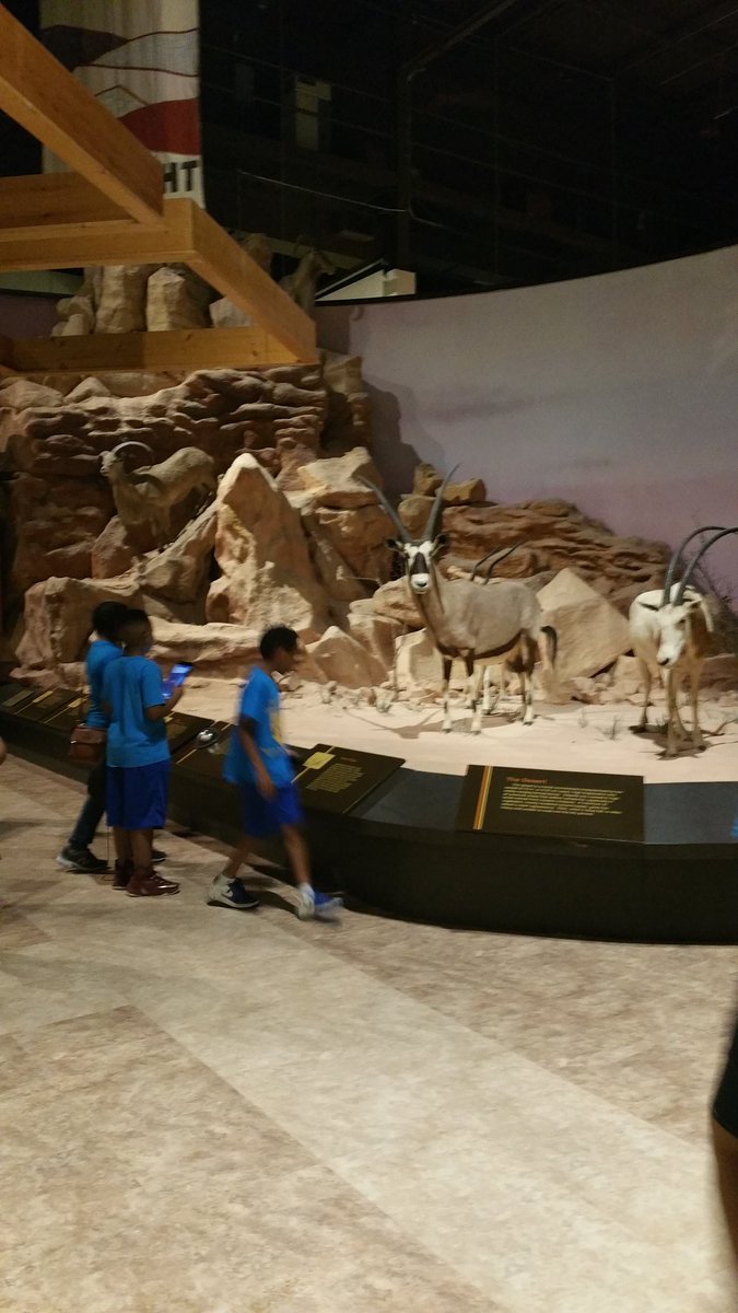 eleashiar1966's tweet photo. Students at MPCA exploring history at Anniston Museum of History! https://t.co/iSAAM57dns