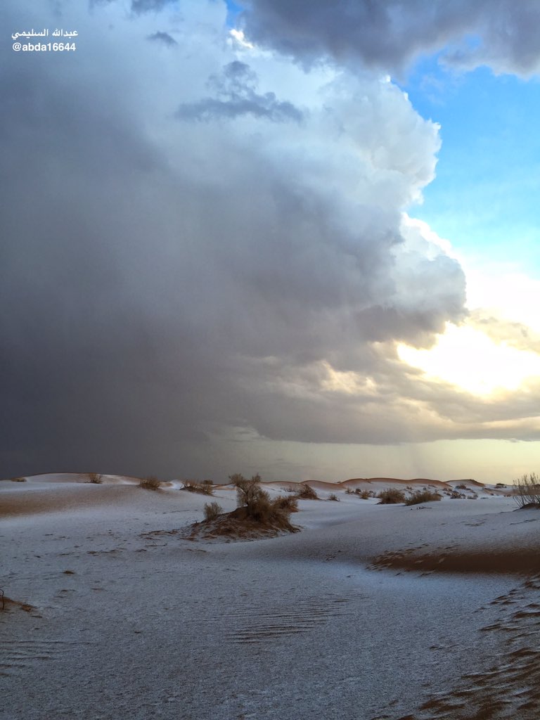 #عبدالله_الحربي_آيفون6S                                      

من بردية جنوب الظاهرية ٢٠ إبريل ٢٠١٦ 

#رتويت لاهنتم