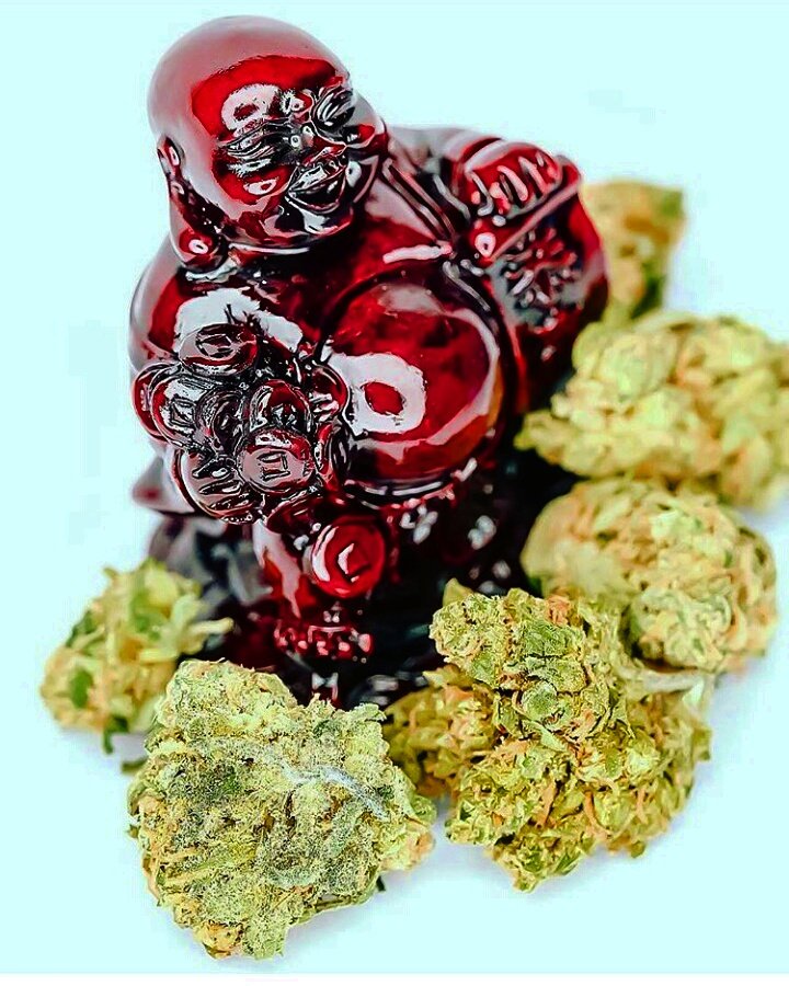 420SmokingClub's tweet photo. Close your eyes , you are Buddah https://t.co/Zhuvg8iCTM