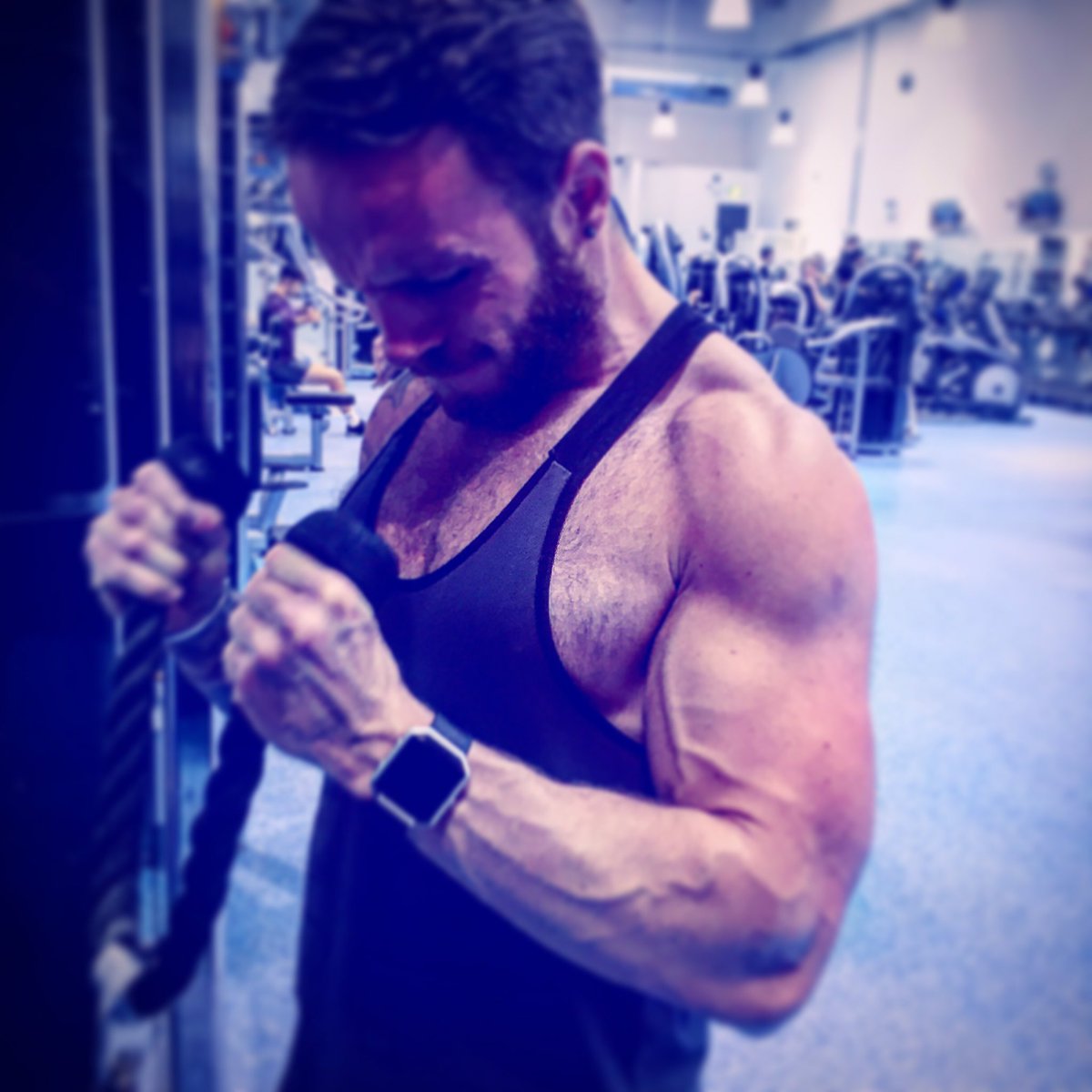 FitGuruLuke's tweet photo. @FitGuru_dave @Gymshark #progression #cuttingseason #biceps #gymshark #fitguruapp # https://t.co/1HvZ9hUyci