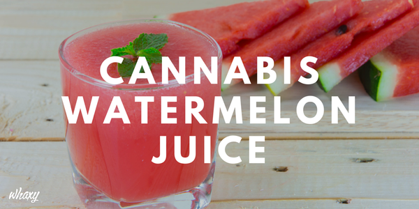 ThinkTankExile's tweet image. Refreshing #Marijuana Watermelon Juice #Recipe! Who could go for a glass right now? mmjne.ws/1Mi5NIy