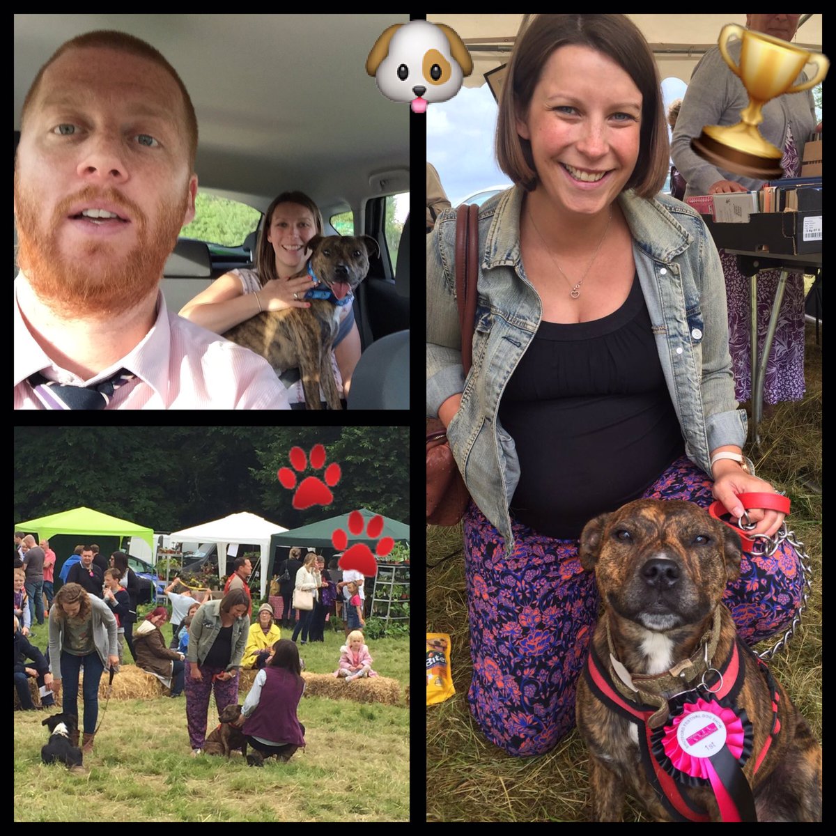 HipHopHaz's tweet photo. @bluecross_BAC This time last year we were taking Jess home &amp; now look at her! Village fete 'Best Rescue' doggie 🐶😍🏆 https://t.co/IRHclcmwZE