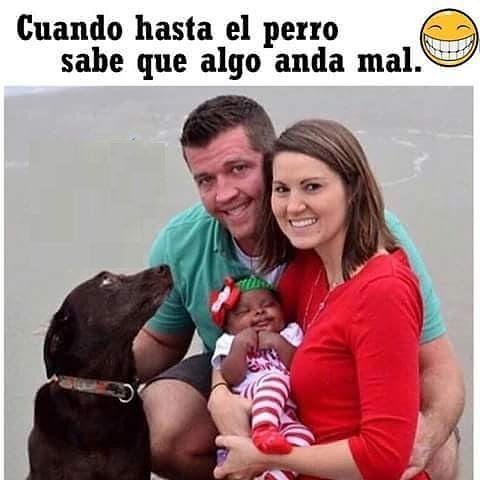 BrujaReal's tweet photo. Ay chiamo... Un chistecito para despertarme... #4lunas #pensamiento #reflexión #sentimient… https://t.co/YcXxvmYR5X https://t.co/DSQ2dus6VE