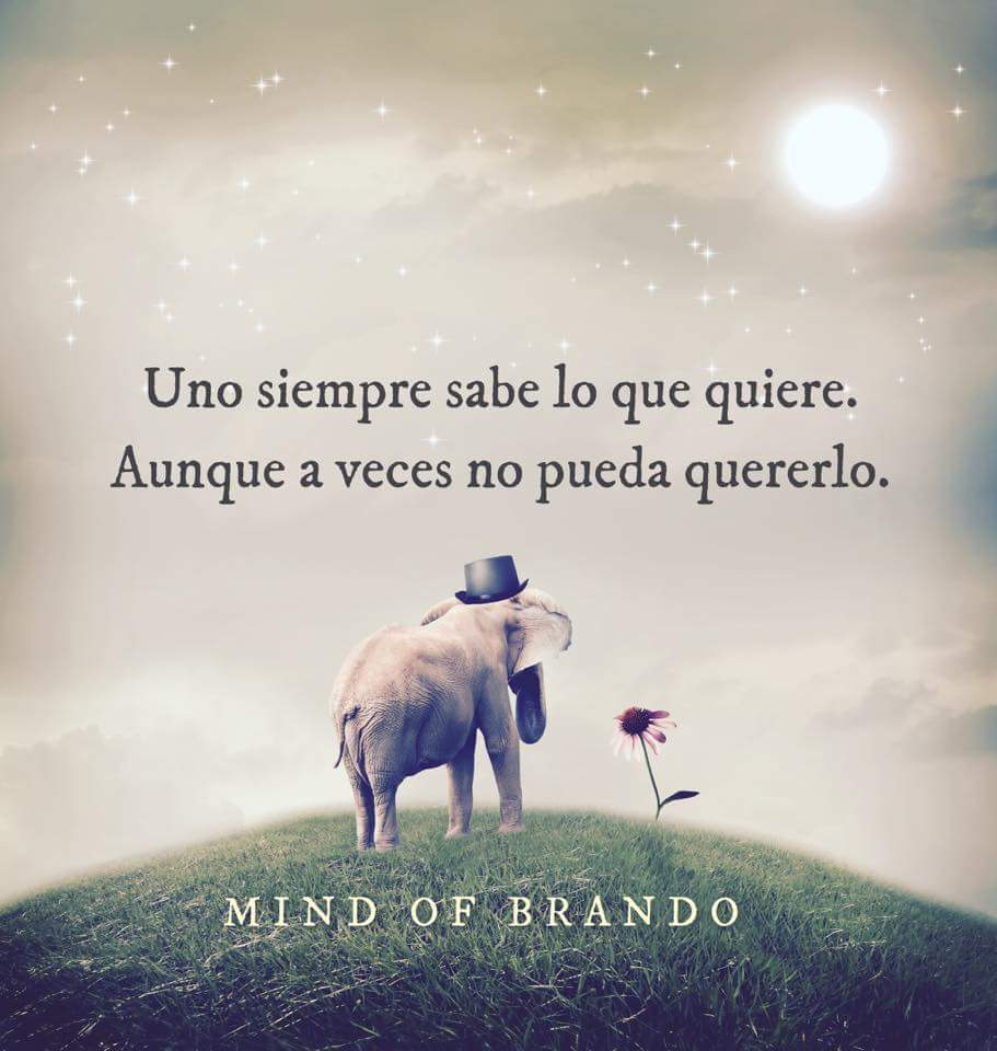 Miagz3's tweet photo. #Sabelo https://t.co/cnI517wkGQ