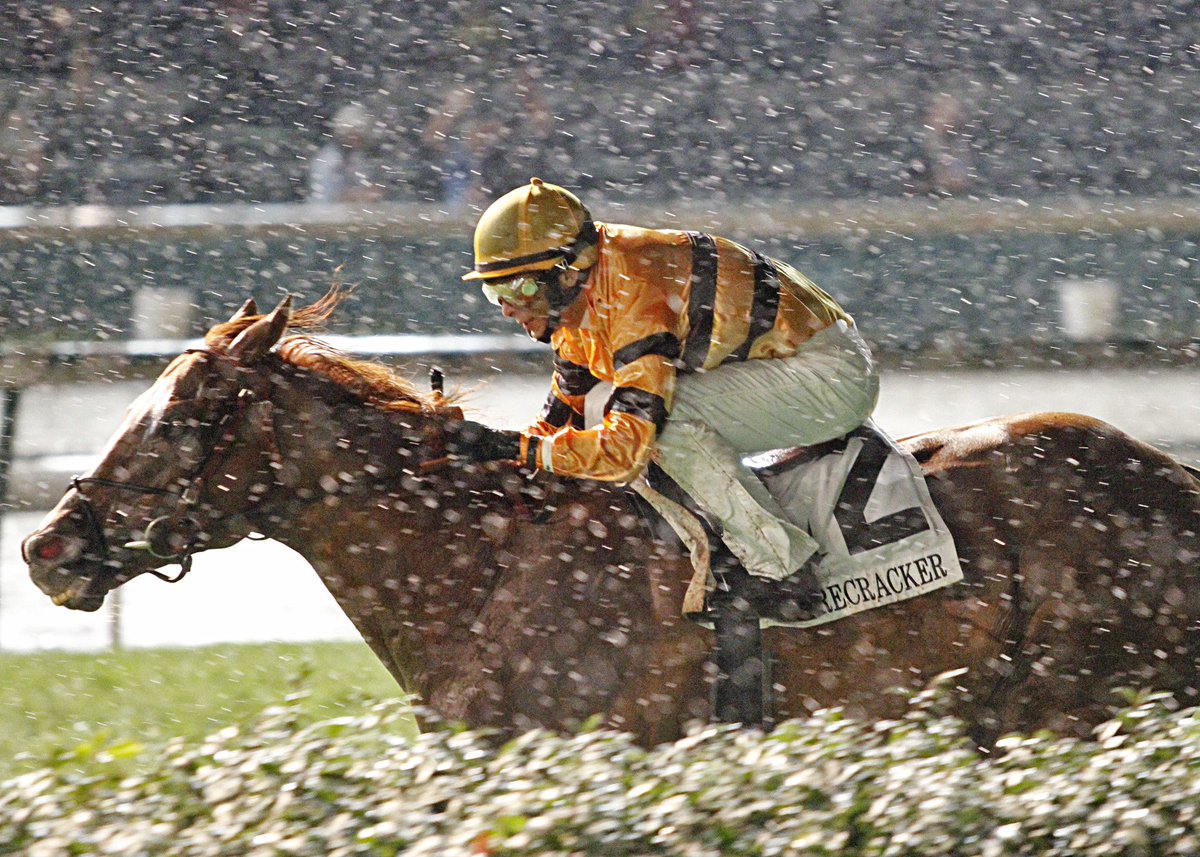 ChurchillDowns's tweet photo. Wise Dan will parade in the paddock prior to race 7.

The race, previously the Firecracker, is now The Wise Dan. https://t.co/XVDRRoQujw