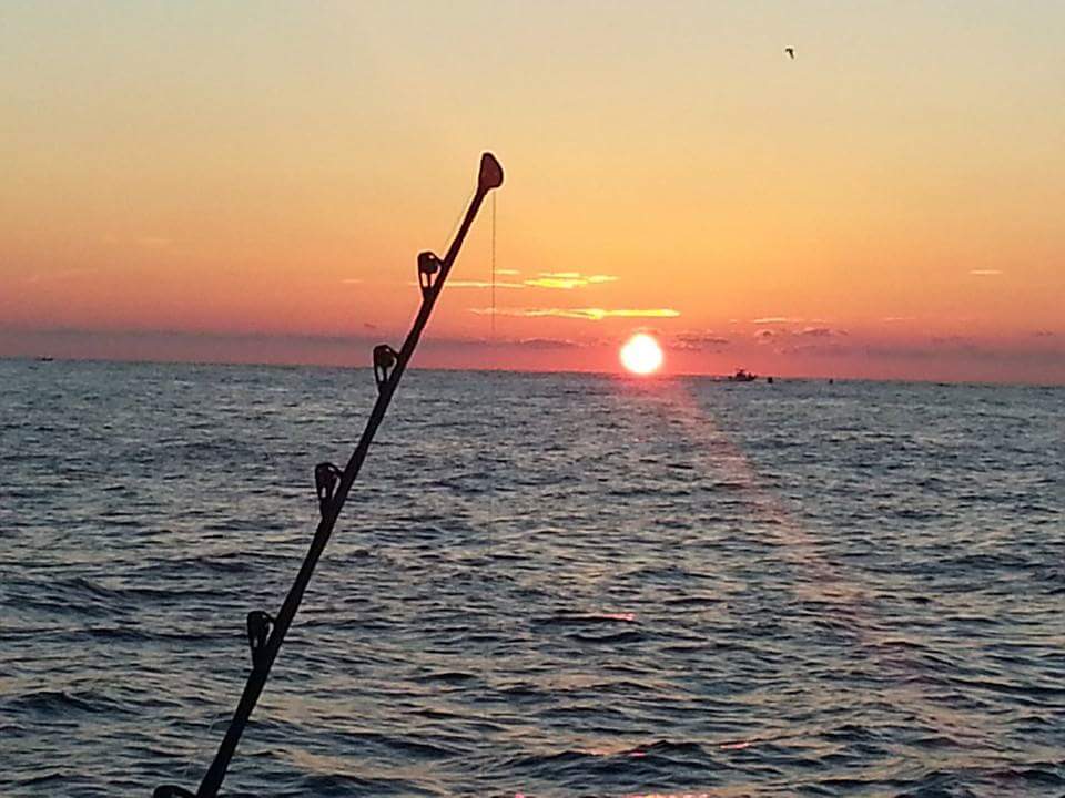FishDestinFL's tweet photo. Book your private #fishing charter online 24/7 @FishDestinFL for our website addy. #gethooked https://t.co/8WVE4khp9N