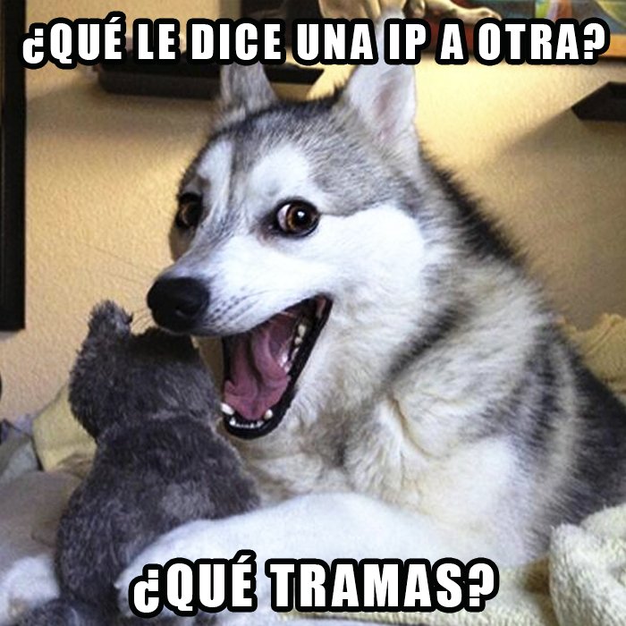 developerez's tweet photo. La hora del chiste. https://t.co/oirlut4yUL